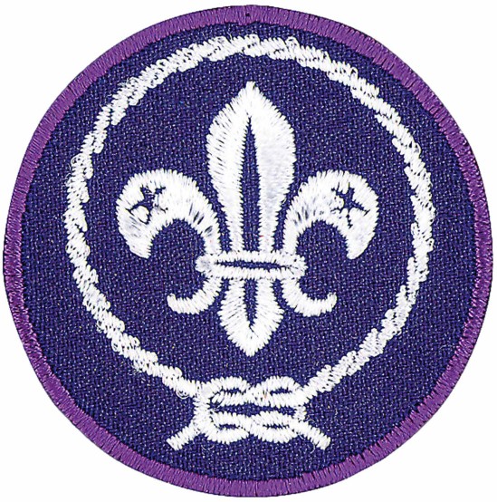 143_world_crest_emblem.jpg